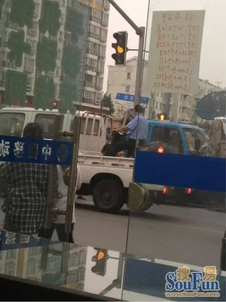 提神七宝图片