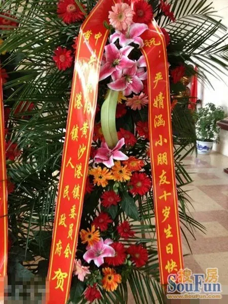 严婧涵小朋友图片