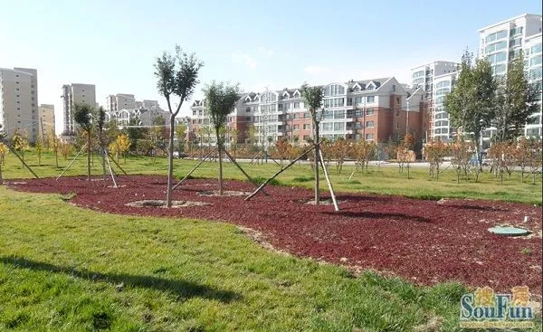 【澳华城市花园】搜房团购报名预告 【澳华城市花园】搜房团购报名预告