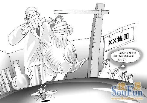 肯德基 速成鸡图片