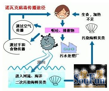 英国人口数_2025年英国人口预测 -数据发布(3)