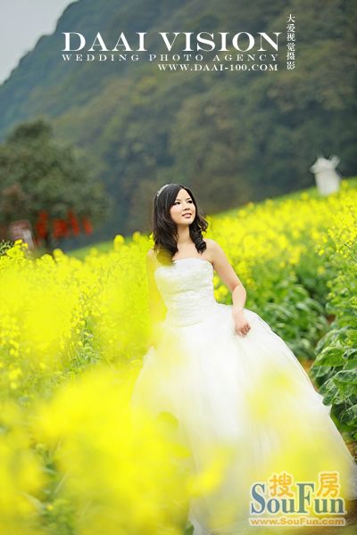 蚝油菜花_油菜花唯美婚纱照(2)