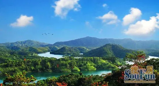 国家森林城市人均公园_人均森林碳汇(3)