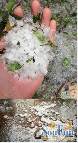 苏州下冰雹图片