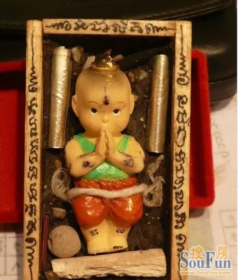 张柏芝养小鬼图片