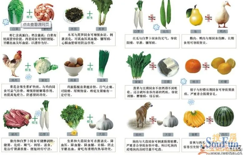 食物相克大全介绍 1366163164430_000.jpg