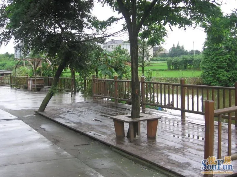 团购：2013南汇玉姑甜瓜 采摘农家乐