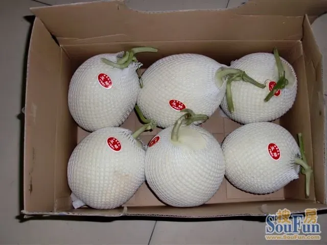 团购：2013南汇玉姑甜瓜 采摘农家乐