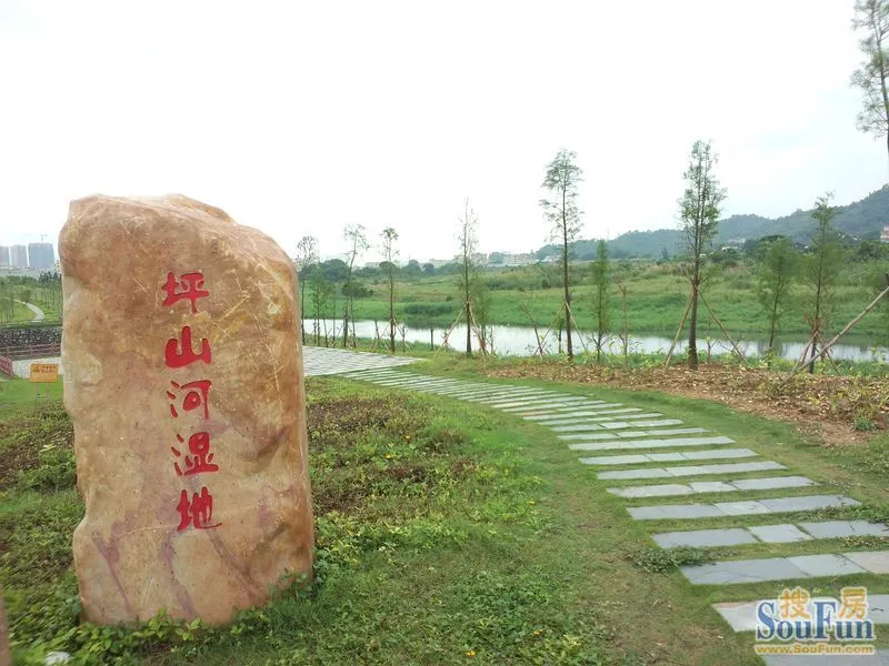 坪山湿地公园---实地照片(上)!