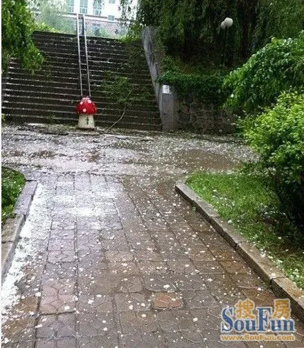 苏州下冰雹图片