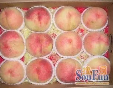 国内最贵的水蜜桃 1375064501913_000.jpg