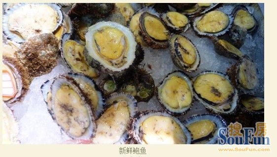 宁杭高铁:开启玉环大鹿岛海鲜传送门