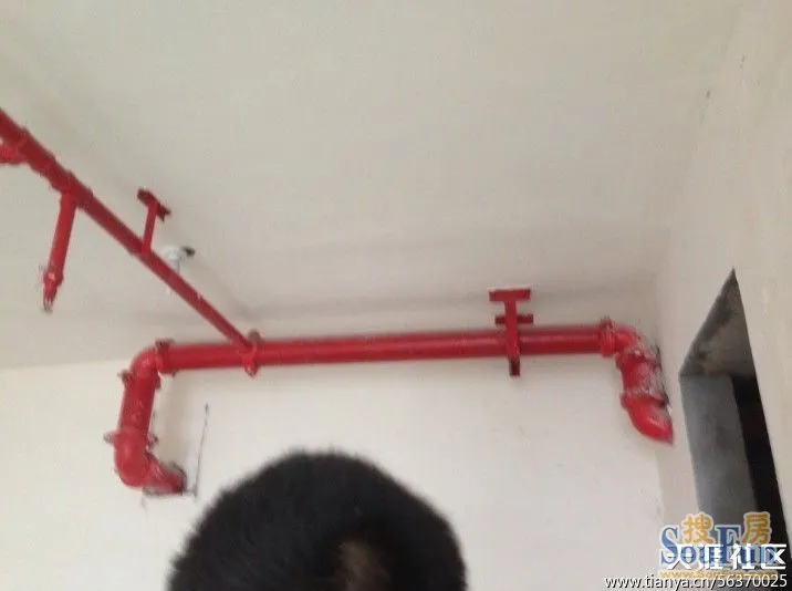 这里的每家每户消防管道入户,吊顶之后层高仅仅2.2米左右!