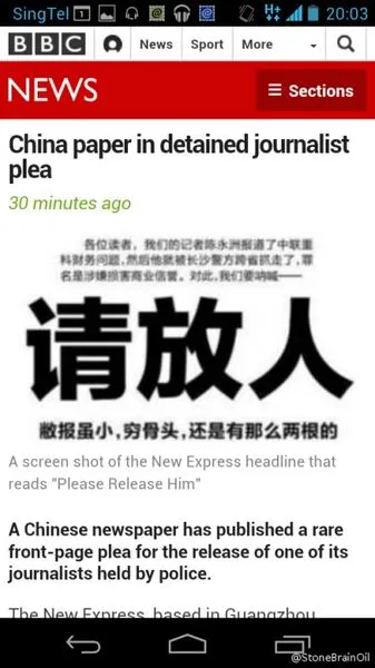 虚构的家谱_银广夏虚构收入(2)