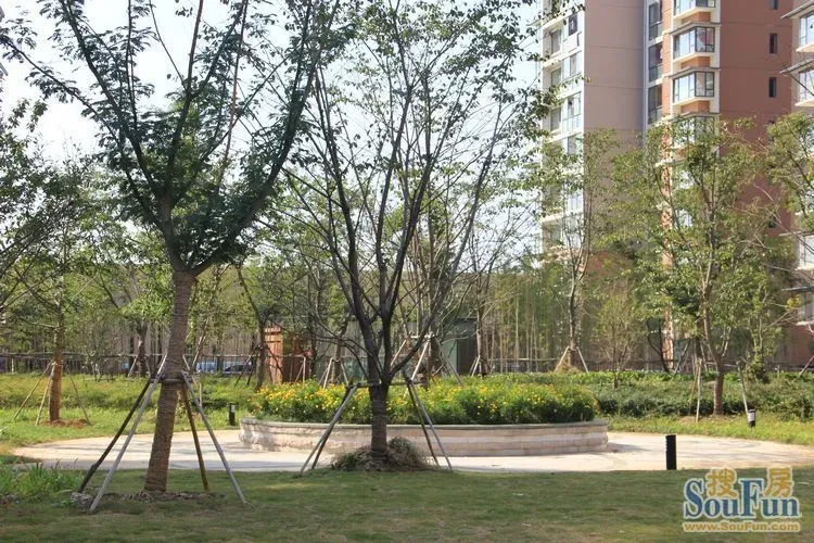 1384416040386_000.jpg
