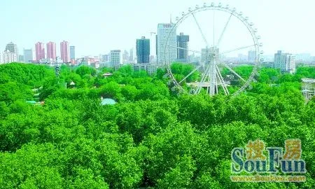 面对郑州这样的道路状况,我成功逆袭了! 面对郑州这样的道路状况,我成功逆袭了!