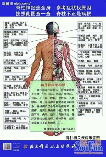 第一届"筋膜松解疗法r26;疼痛病治疗专题"交流会
