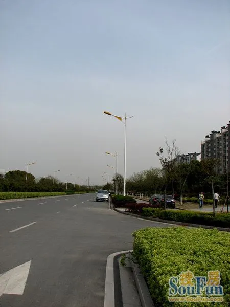 步步惊心,惊不起一滩鸥鹭,惊起一滩心碎 步步惊心,惊不起一滩鸥鹭,惊起一滩心碎