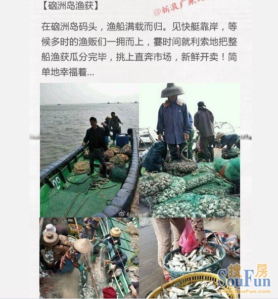 中国哪里吃海鲜最便宜_山东细犬哪里最便宜_李总理夫人程虹哪里人