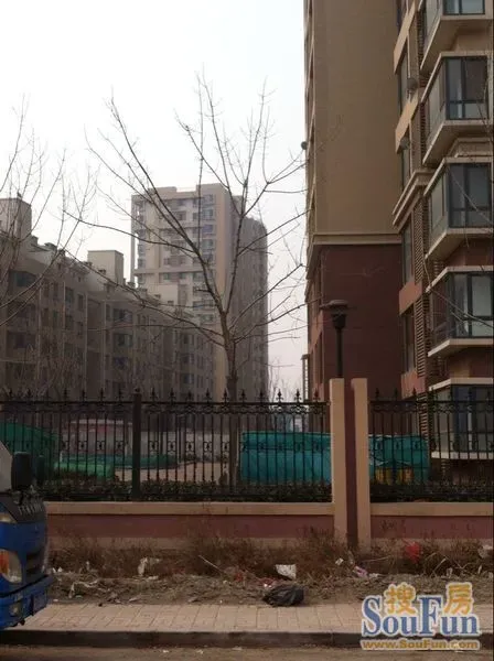 1394085688178_000.jpg