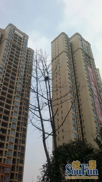 收房后一周再来看看佳兆业及周边 收房后一周再来看看佳兆业及周边