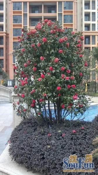 收房后一周再来看看佳兆业及周边 收房后一周再来看看佳兆业及周边