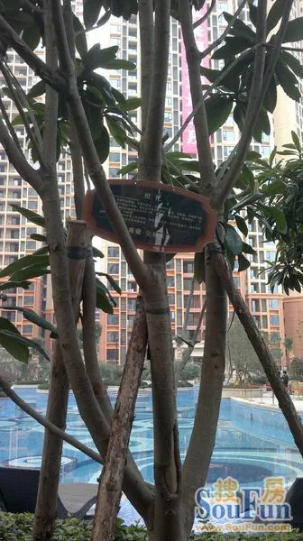 收房后一周再来看看佳兆业及周边 收房后一周再来看看佳兆业及周边