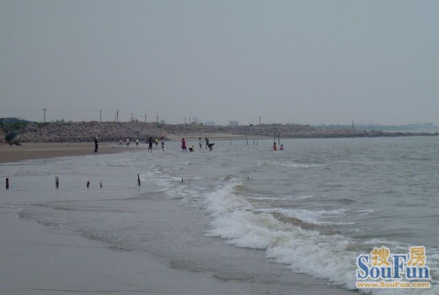 漳港吃海鲜_深圳澳头吃海鲜_滨海港