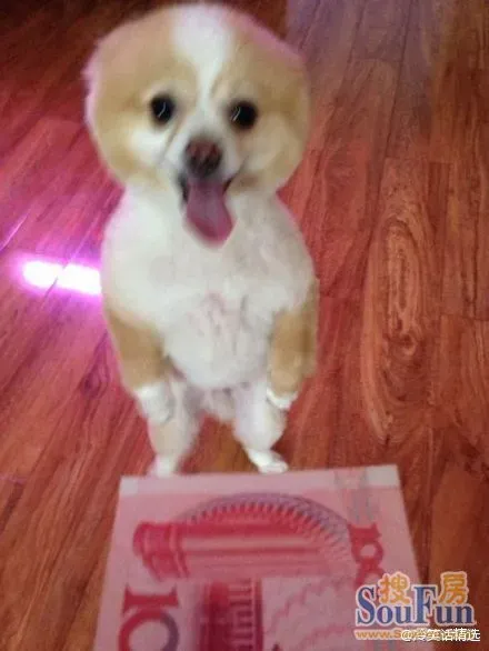 1398688651289_000.jpg