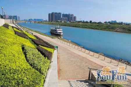 芙蓉区拟3年造林3000亩造 绿色芙蓉 ,白沙湾的筒子们有福啦高清图片