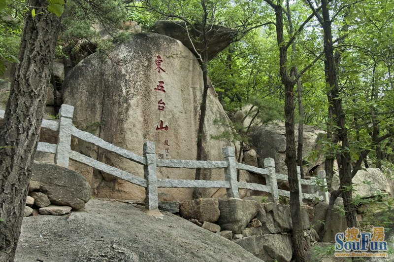 10,鸟鸣空山清净处,东五台处仙人居.