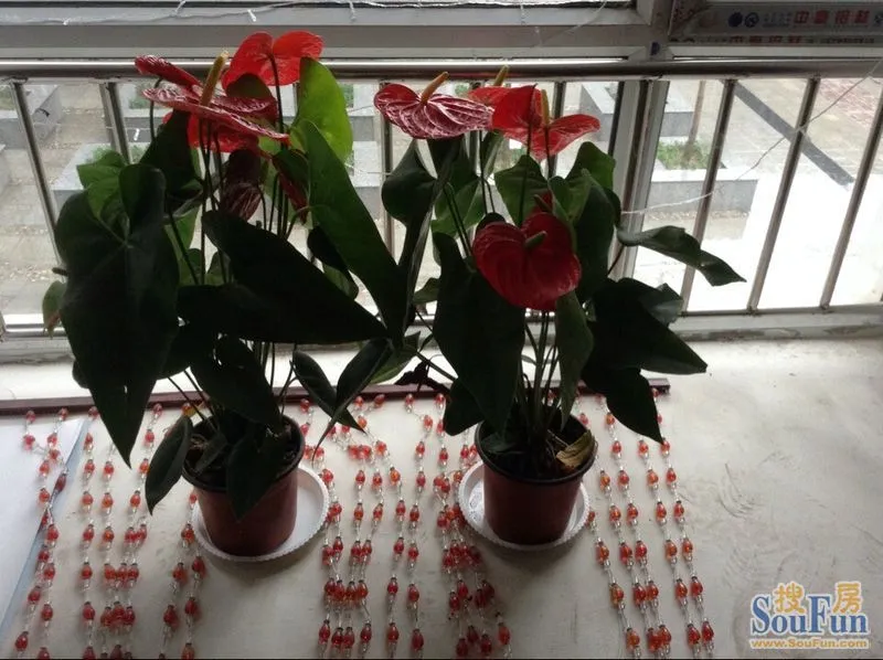 敦化市有多少人口_敦化市实验中学(3)