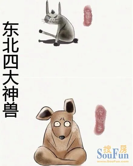 哈哈~~团子只能说你太天真!   首先我们来认识一下东北的"四大神兽"!
