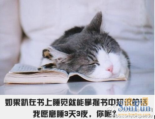 如果趴在书上睡觉就能掌握书中知识的话,我愿意睡3天3