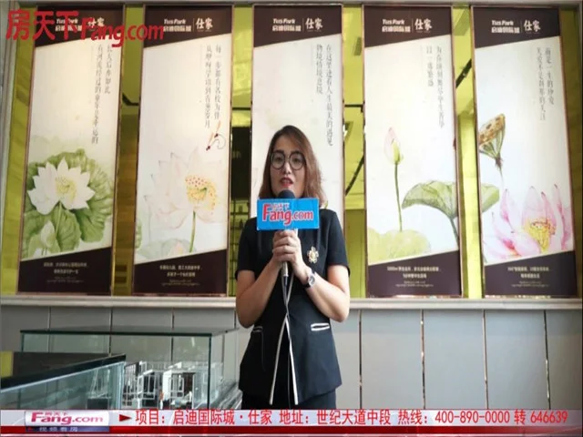房天下视频看房之启迪国际城仕家