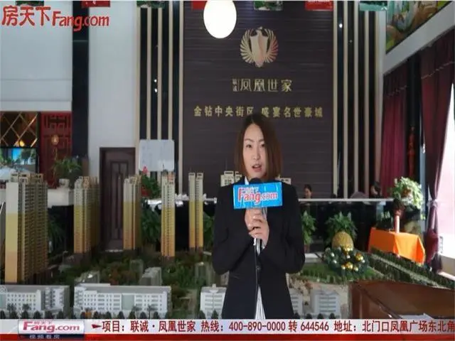 房天下视频看房之联诚�凤凰世家