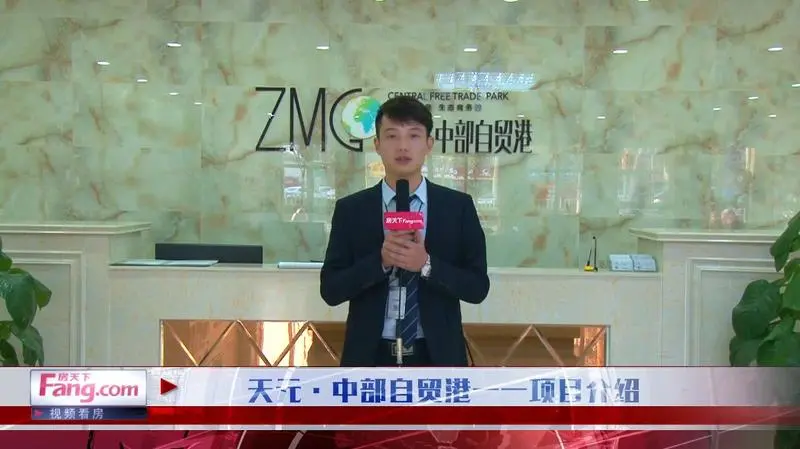 天元·中部自贸港——视频看房项目简介