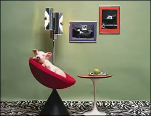 ŷʽ