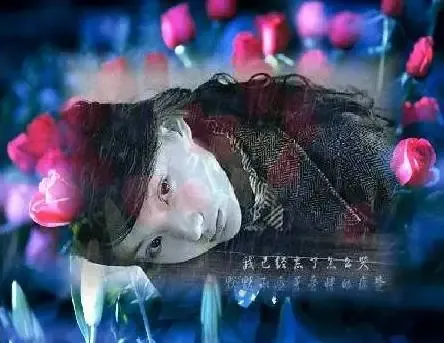 ����鿴��һ��: 1168840109997.jpeg