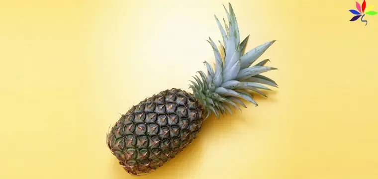 1176104775233.jpeg