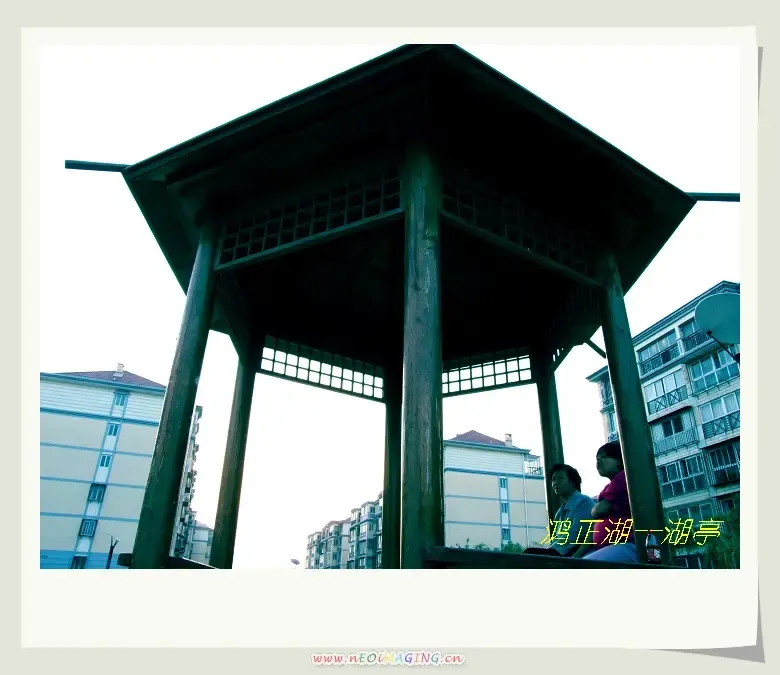 ����鿴��һ��: ����