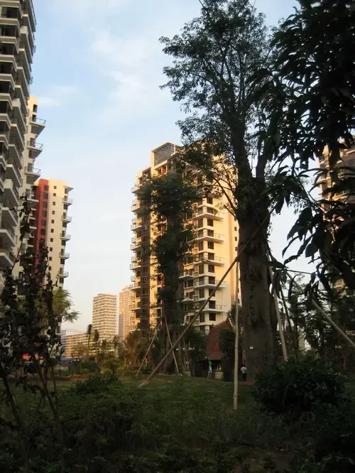 按此在新窗口浏览图片