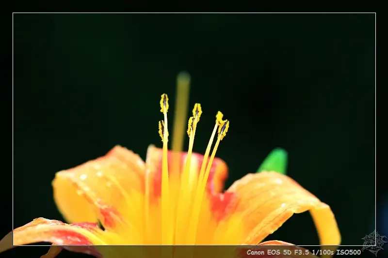 IMAGE: http://img1.soufun.com/bbs/2007_08/15/1187157398261.jpeg