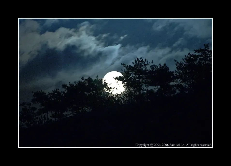 1191726810757_000.jpg