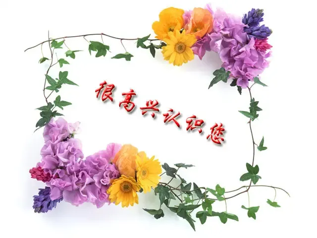 ����鿴��һ��: ��ӭ