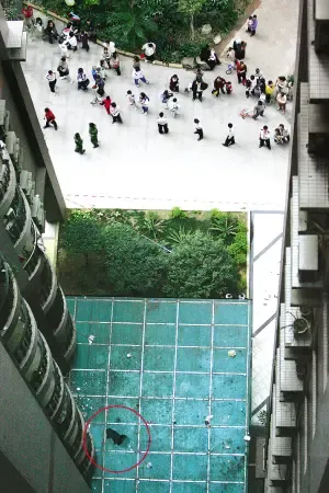 ����鿴��һ��: 7237742