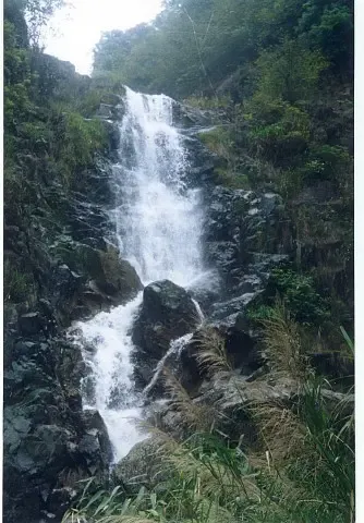 ����鿴��һ��: 2004525151454