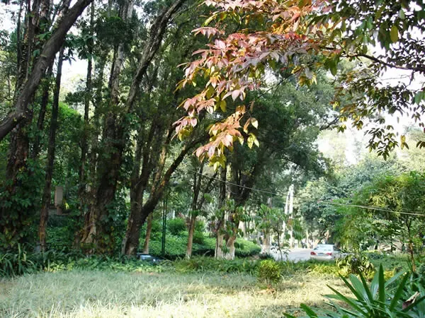 ����鿴��һ��: DSC02170aa