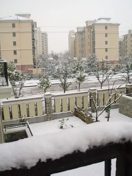 ����鿴��һ��: 11795331