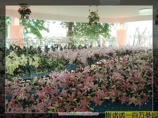 ����鿴��һ��: DSC02931